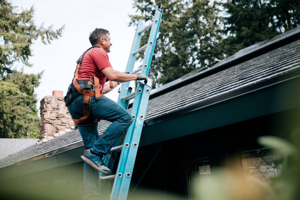 Best Green or Eco-Friendly Roofing Solutions  in Forty Fort, PA